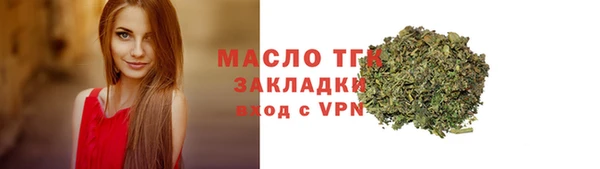 тгк Инта