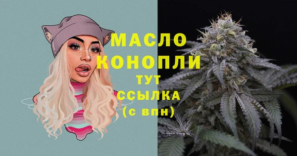 тгк Инта
