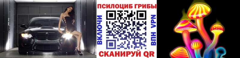 Галлюциногенные грибы Cubensis  Купить закладки  Задонск 